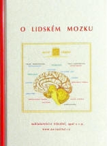 O lidském mozku 